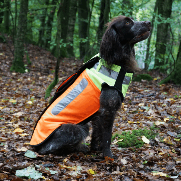 Boar Protec Hondenvest 5XL