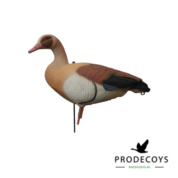 Prodecoys Nijlgans Lokkers Set van 12 - Image 2
