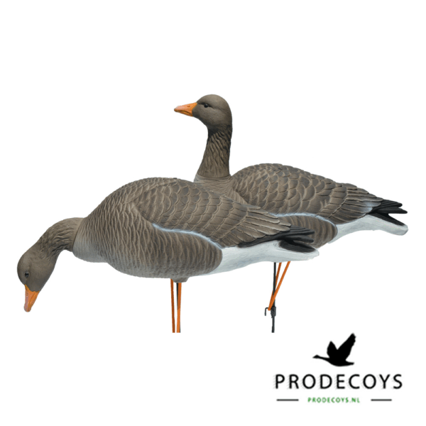 Prodecoys Grauwe Gans ELITE Lokkers Set van 6