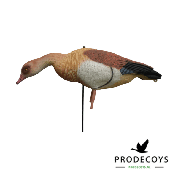 Prodecoys Nijlgans Lokkers Set van 12 - Image 3