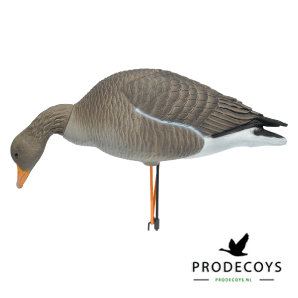 Prodecoys Grauwe Gans ELITE Lokkers Set van 6 - Afbeelding 3