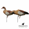 Prodecoys Nijlgans Lokkers Set van 12