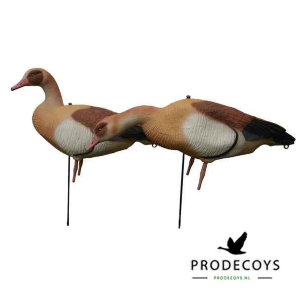 Prodecoys Nijlgans Lokkers Set van 12