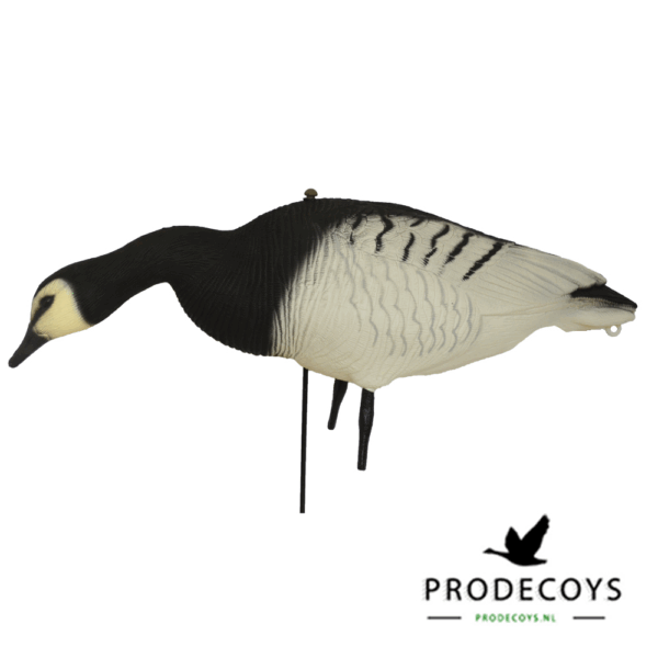 Prodecoys Brandgans Lokkers Set van 6 - Image 3