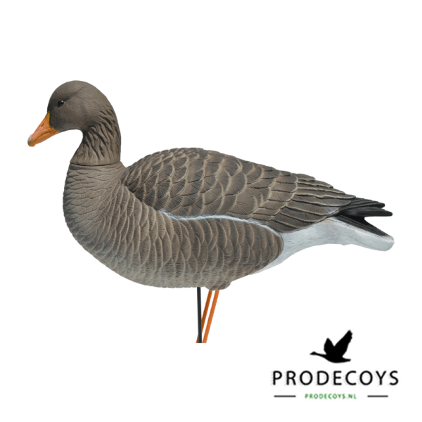 Prodecoys Grauwe Gans ELITE Lokkers Set van 6 - Afbeelding 2