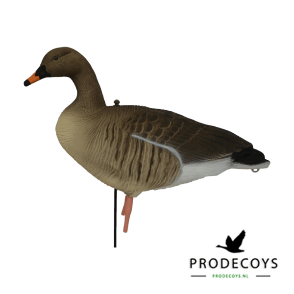 Prodecoys Rietgans Lokkers Set van 6 - Afbeelding 3