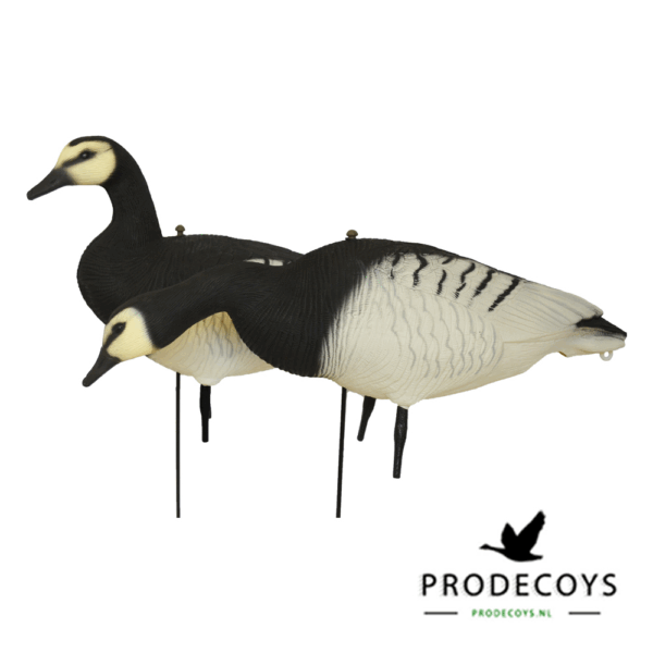 Prodecoys Brandgans Lokkers Set van 6
