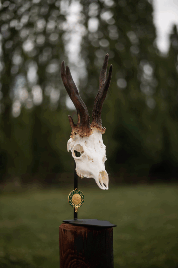 Cranium Design Trophyholder Parvus D'or - Image 2
