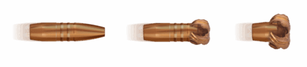 Geco Star 165gr. .30-06 Springfield (20stuks) - Image 2