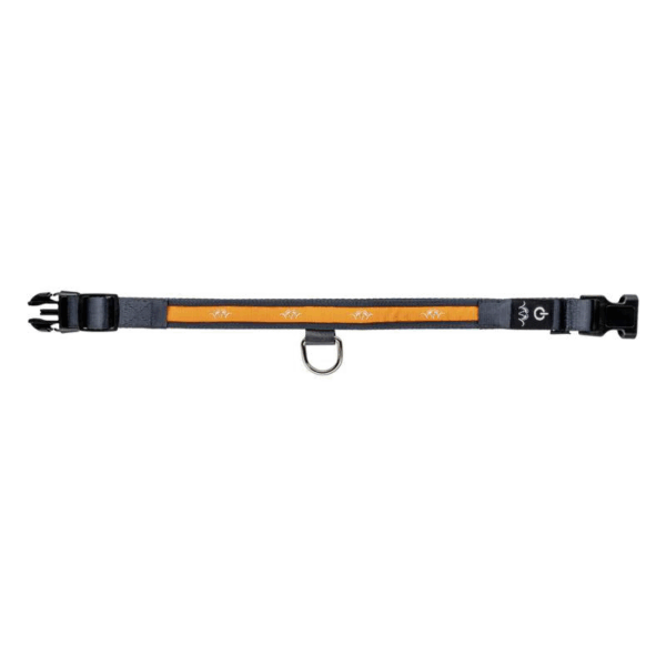 Blaser LED Dog Collar
