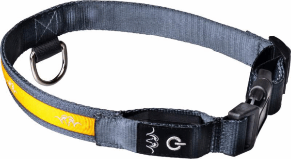Blaser LED Dog Collar - Afbeelding 2