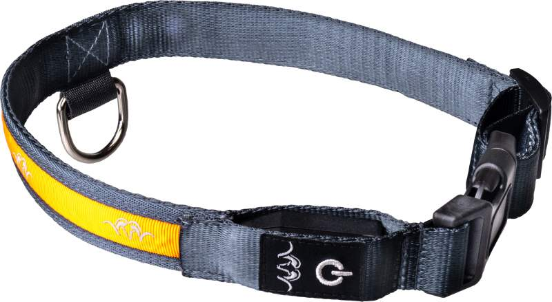 Blaser LED Dog Collar - Afbeelding 2